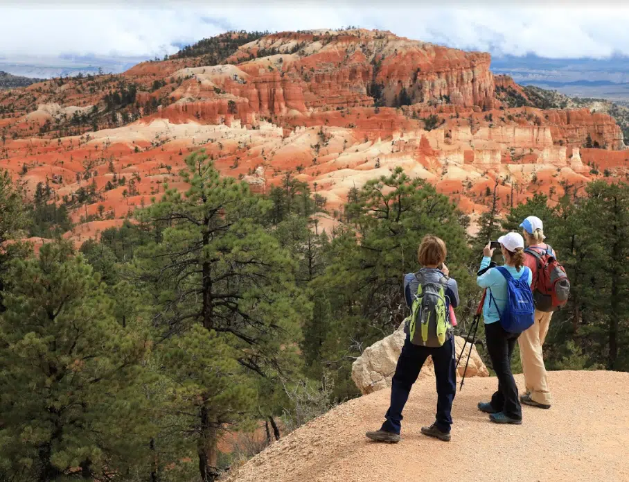 Three hikers admire a colorful rocky landscape surrounded by trees.
